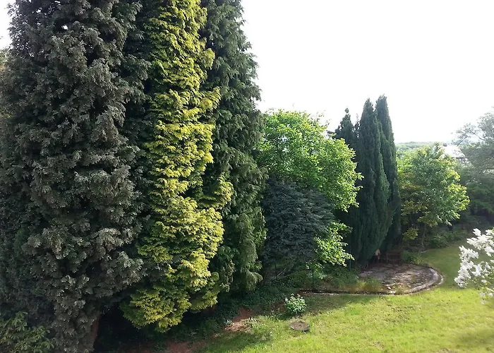 Westerwaldhotel Отель Dernbach (Westerwald)